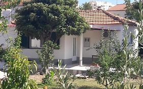 Smokvica